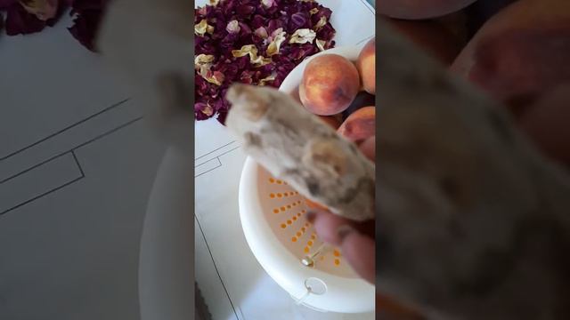 Как посадить корень имбиря дома))) все просто и без заморочек::::::: смотреть онлайн