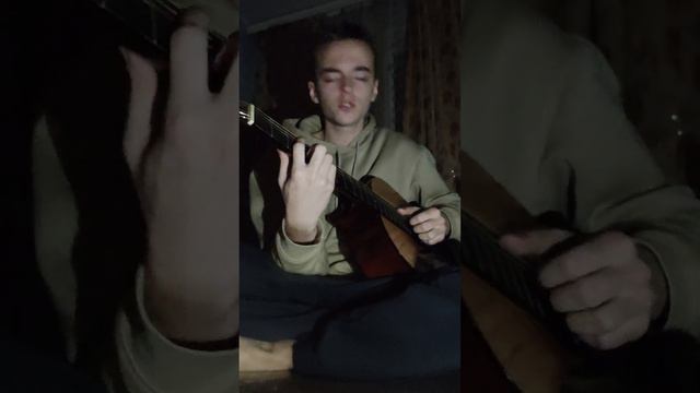 Saluki - Огней (cover)