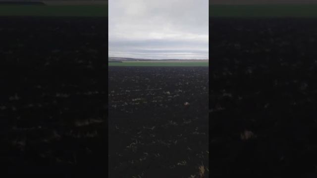 Два кировца на пахоте с прицепными плугами. смотреть онлайн