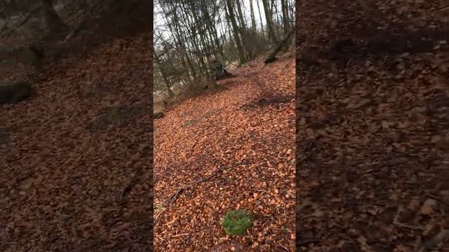 Cults kennoway pit bike 125 смотреть онлайн