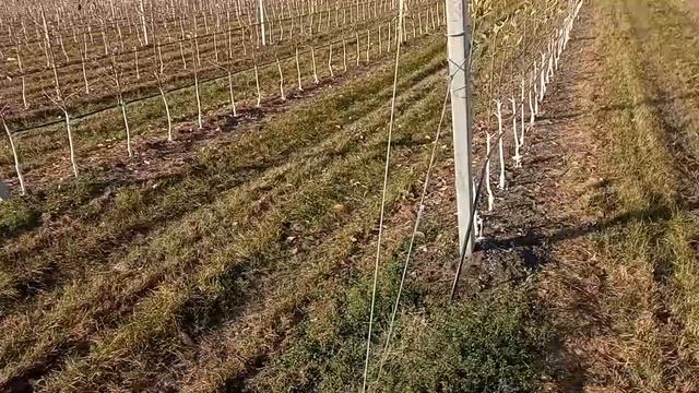 Работаем смотреть онлайн