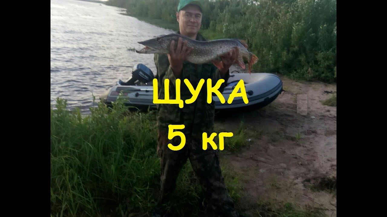 Троллинг, сход щуки, ловля леща сачком