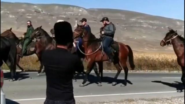 ЧЕРКЕСЫ на лошадях Кабардинской породы. КБР смотреть онлайн