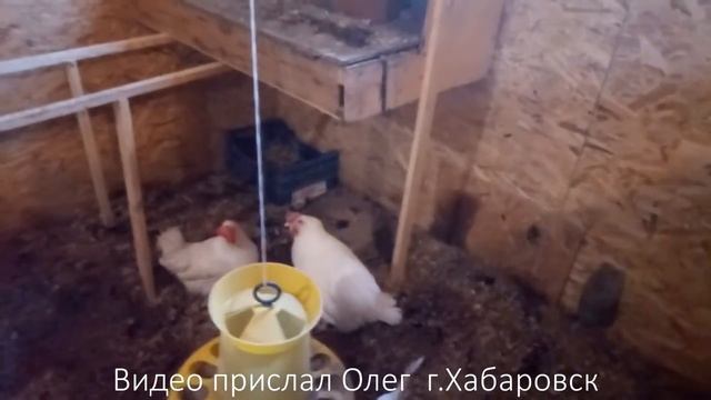 Видео#1 от клиентов и подписчиков // Олег г.Хабаровск смотреть онлайн