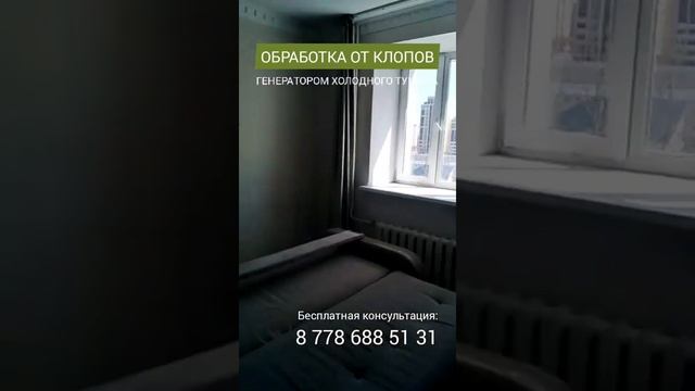 Обработка от клопов генератором холодного тумана смотреть онлайн