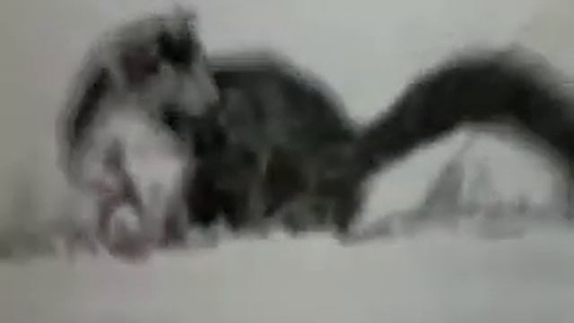 Inkheart chronicles # 1 - the book смотреть онлайн