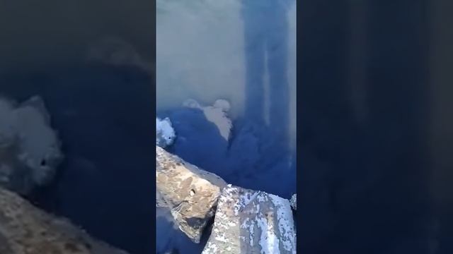 ПОКА В СТРАНЕ БАРДАК И ХАОС, В КАРАГАНДИНСКОЙ ОБЛАСТИ УНИЧТОЖАЮТ ПРИРОДНЫЕ РЕСУРСЫ КАЗАХСТАНА!!! смотреть онлайн