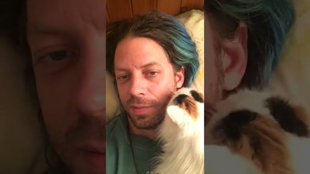 Patches loves to lick my beard take 12272018 смотреть онлайн
