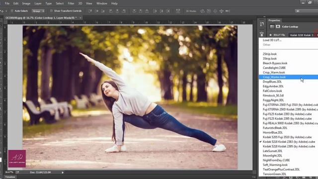 Photoshop Tutorial | Camera RAW Filter | Yoga Girl смотреть онлайн