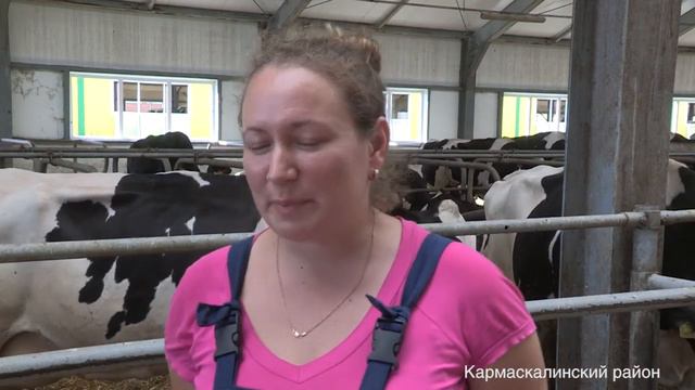 В хозяйстве «Артемида» полным ходом идет уборочная страда смотреть онлайн