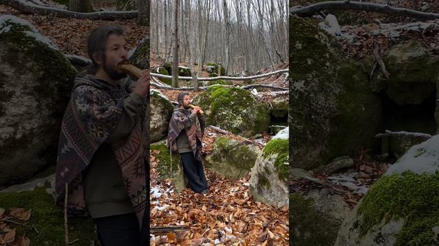 Forest flute, ocarina, flute смотреть онлайн