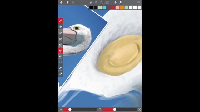 Pelican - SketchClub drawing смотреть онлайн