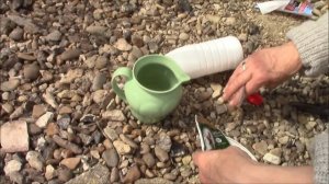 Микроудобрения для растений.  Гумат+7!