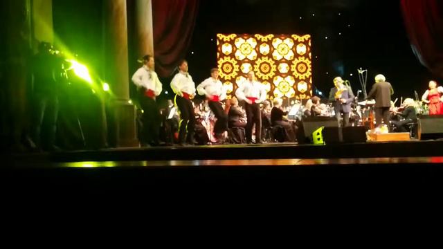 Concert Constantin Moscovici смотреть онлайн