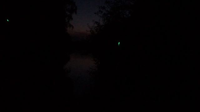 Ловля сома на реке. Рыбалка на донную снасть. р.Болва. Сом в Июле. смотреть онлайн