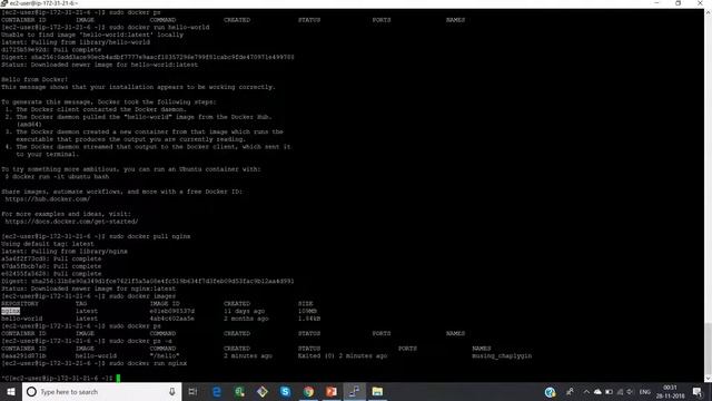 Install Docker on Linux Instance | Docker Tutorial For Beginners смотреть онлайн