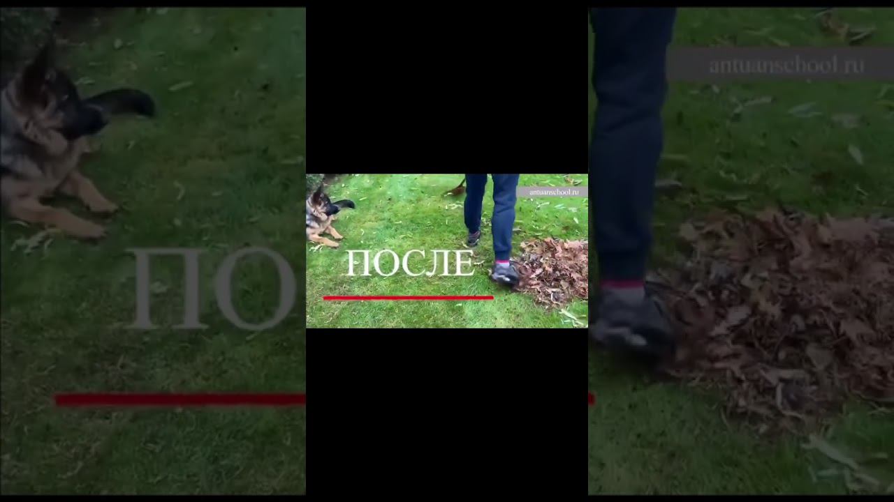 Бурная реакция на уборку территории смотреть онлайн