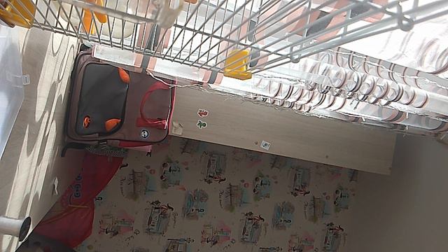 Лерка-Валерка🥑 смотреть онлайн