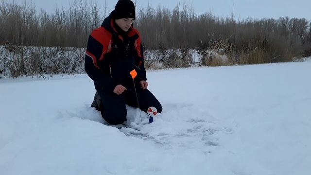 Расставил жерлицы под берегом и тут понеслось! | Рыбалка на жерлицы смотреть онлайн