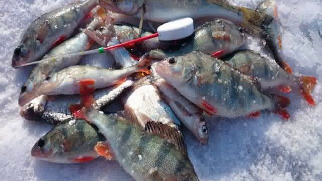 активатор клева кровь смотреть онлайн