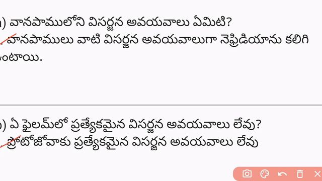 AP 10th NS TM real question full key 2024, Biological Answer Key TM, General Science смотреть онлайн