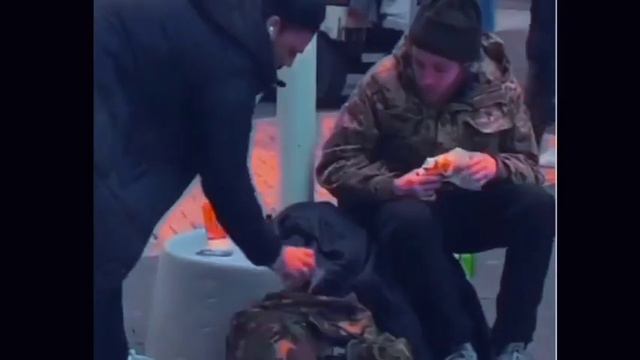 мой старый но самый популярный вайн в тик токе смотреть онлайн