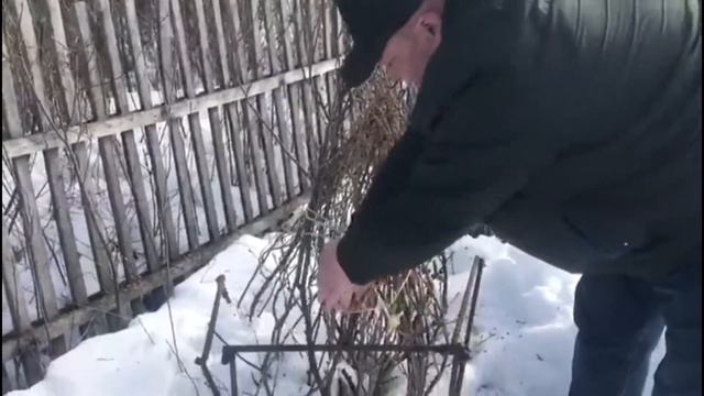 Борьба с тлёй смотреть онлайн