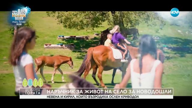 Да хванеш гората (18.02.2024) смотреть онлайн