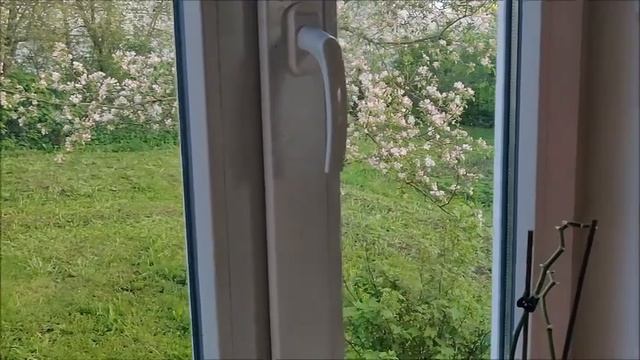 песня "Мне с тобою пьяным весело...." на слова Анны Ахматовой смотреть онлайн