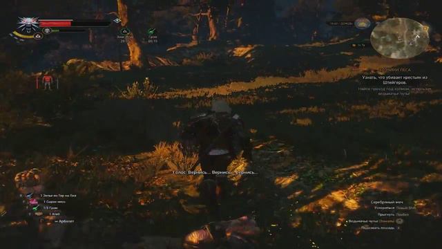The Witcher 3: Wild Hunt #14 ✖ ШЕПЧУЩИЙ ХОЛМ ✖ смотреть онлайн