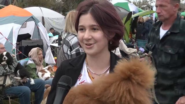 Кто на свете всех милее? В Пушкино прошла выставка собак всех пород смотреть онлайн