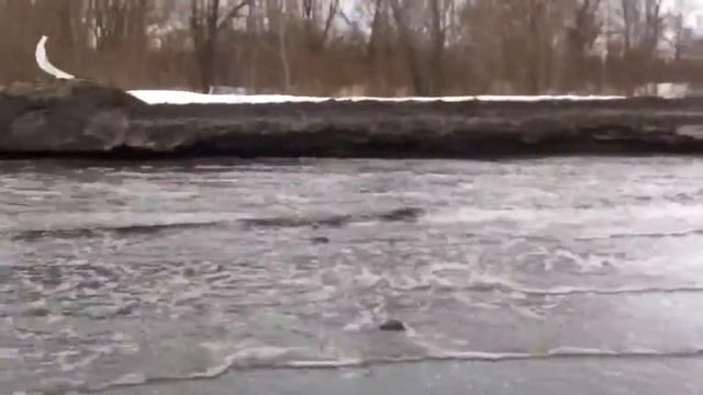 Река "Промышленная" смотреть онлайн