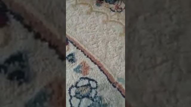 Как очистить ковёр от лизуна. Амвей ЛОК ! смотреть онлайн