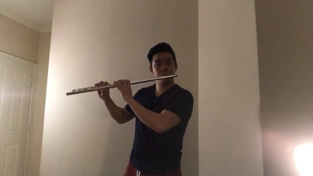 Ellie Goulding - The Writer - Flute Cover смотреть онлайн