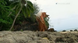 Эд Стаффорд, выживший