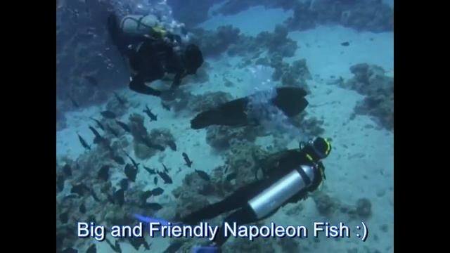 Я не знаю зачем я это сделал... смотреть онлайн