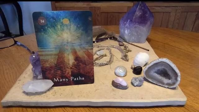 Daily Life Path Oracle Reading ~ Many Paths смотреть онлайн