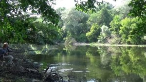 Ловля густеры в проводку летом