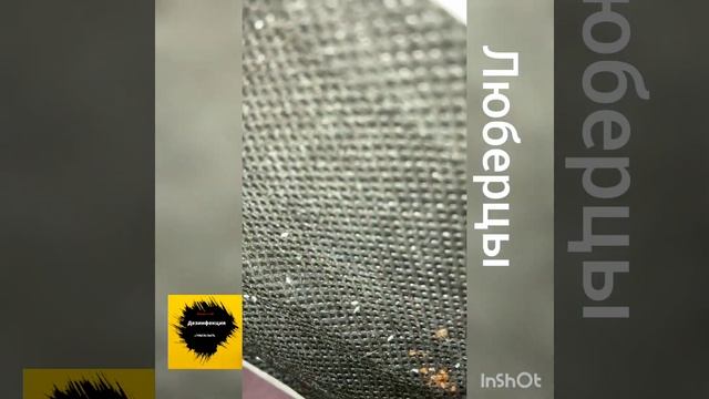 Дезинфекция от клопов Люберцы 89123476174 #дезинфекция смотреть онлайн