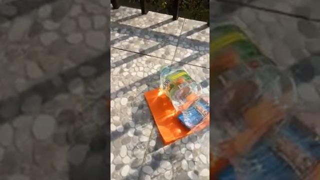 Спасем лес от пожара смотреть онлайн