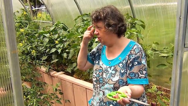 Зона отдыха в теплице. смотреть онлайн