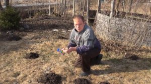 Лучшие средства от кротов. Кротам несдобровать