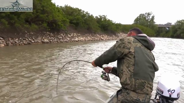 Huge Catfish 200 lbs VS small Spinning Rod - HD by Catfishing World смотреть онлайн