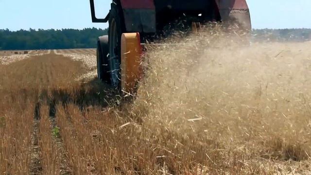 Измельчитель валков соломы УМС - 200 смотреть онлайн