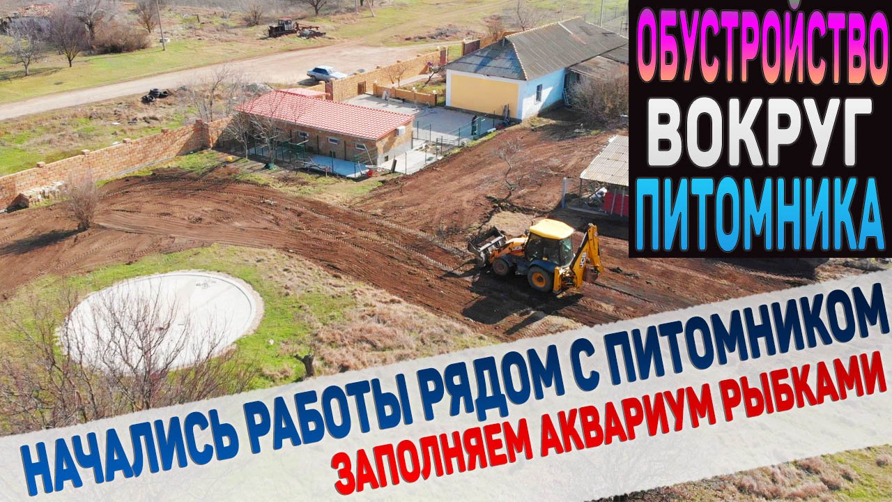 Обустройство территории вокруг питомника. Заполняем аквариум рыбками. Немного чихуахуа. смотреть онлайн