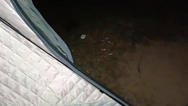 Открыли сезон река луга Кингисепп #2023 #рыбалка #плотва #лещ #река #фидер смотреть онлайн