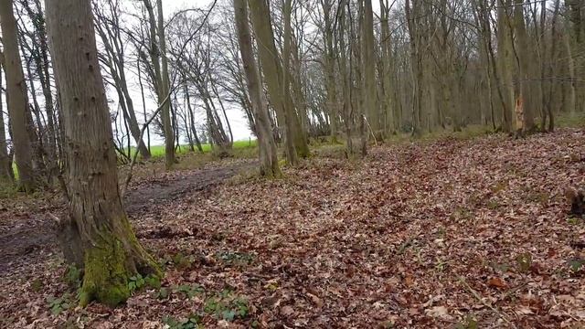 150 ycf sp2 смотреть онлайн