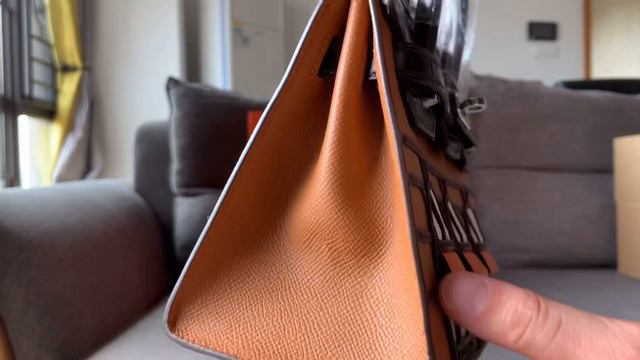 Hermes Birkin 20 Sellier Faubourg Bag Limited Edition Palladium Hardware смотреть онлайн