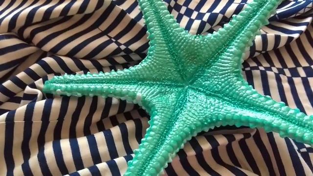 Покрасила настоящие морские звезды смотреть онлайн