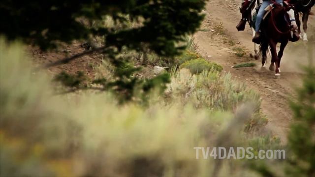 TV4DADS - Season 1, Episode 12 смотреть онлайн